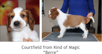 Courtfield from Kind of Magic “Berre”