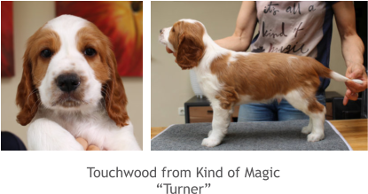 Touchwood from Kind of Magic “Turner”