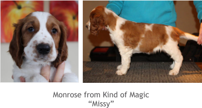 Monrose from Kind of Magic “Missy”