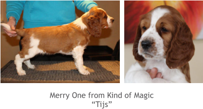 Merry One from Kind of Magic “Tijs”