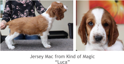 Jersey Mac from Kind of Magic “Luca”