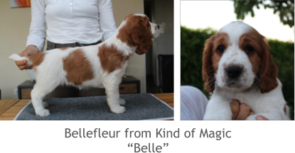 Bellefleur from Kind of Magic “Belle”