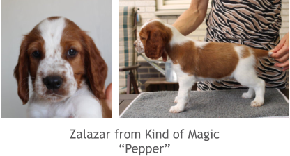 Zalazar from Kind of Magic “Pepper”