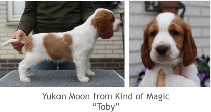 Yukon Moon from Kind of Magic “Toby”
