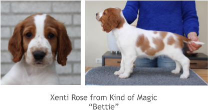 Xenti Rose from Kind of Magic “Bettie”