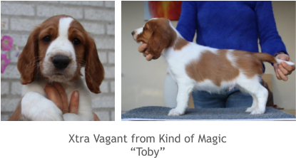 Xtra Vagant from Kind of Magic “Toby”
