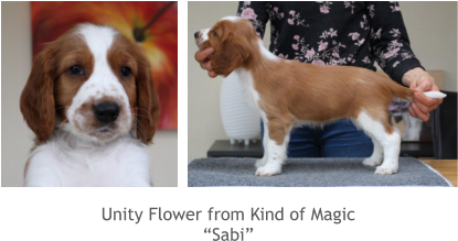 Unity Flower from Kind of Magic “Sabi”