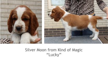Silver Moon from Kind of Magic “Lucky”