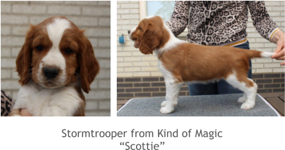 Stormtrooper from Kind of Magic “Scottie”
