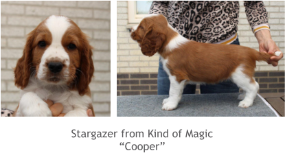 Stargazer from Kind of Magic “Cooper”
