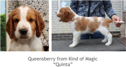 Queensberry from Kind of Magic “Quinta”