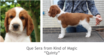 Que Sera from Kind of Magic “Quinty”