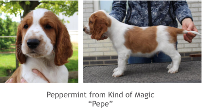 Peppermint from Kind of Magic “Pepe”