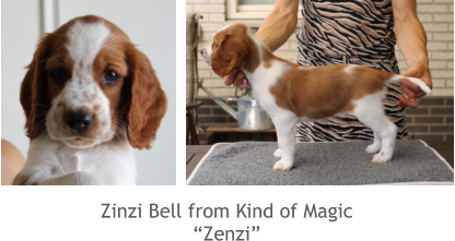 Zinzi Bell from Kind of Magic “Zenzi”