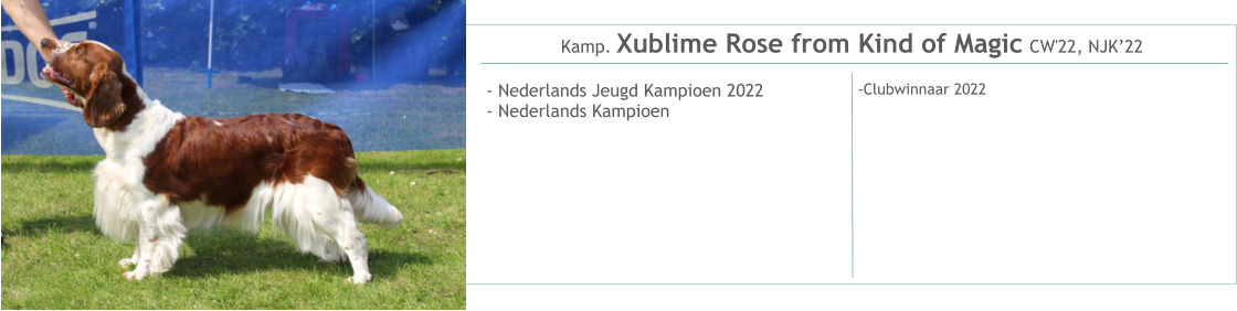 Kamp. Xublime Rose from Kind of Magic CW'22, NJK’22 - Nederlands Jeugd Kampioen 2022- Nederlands Kampioen    -Clubwinnaar 2022