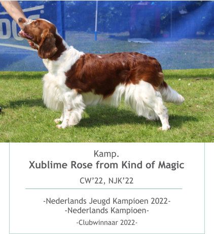 Kamp.Xublime Rose from Kind of Magic CW’22, NJK’22  -Nederlands Jeugd Kampioen 2022--Nederlands Kampioen- -Clubwinnaar 2022-