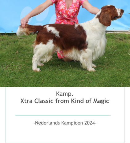 Kamp.Xtra Classic from Kind of Magic   -Nederlands Kampioen 2024- 
