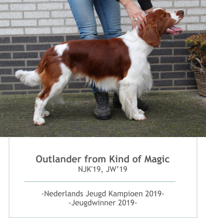 Outlander from Kind of Magic NJK'19, JW’19 -Nederlands Jeugd Kampioen 2019--Jeugdwinner 2019-