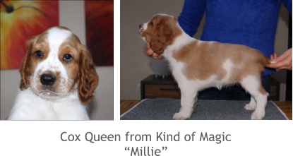 Cox Queen from Kind of Magic “Millie”