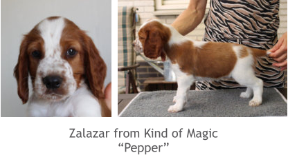 Zalazar from Kind of Magic “Pepper”