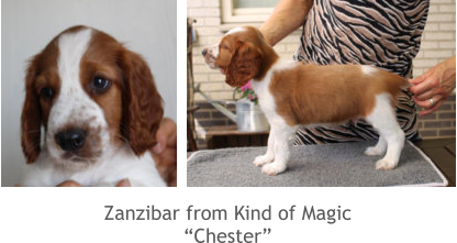 Zanzibar from Kind of Magic “Chester”