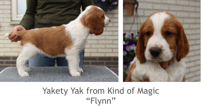 Yakety Yak from Kind of Magic “Flynn”