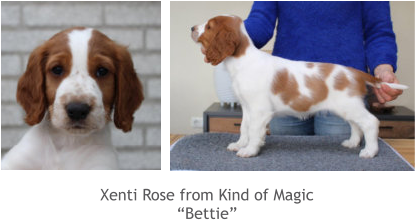 Xenti Rose from Kind of Magic “Bettie”