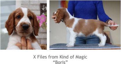 X Files from Kind of Magic “Boris”