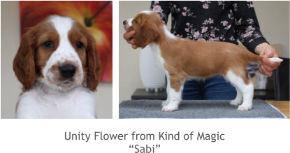 Unity Flower from Kind of Magic “Sabi”