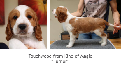 Touchwood from Kind of Magic “Turner”