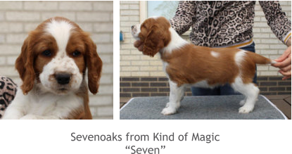 Sevenoaks from Kind of Magic “Seven”