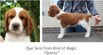 Que Sera from Kind of Magic “Quinty”