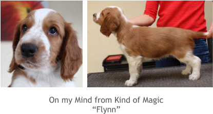 On my Mind from Kind of Magic “Flynn”