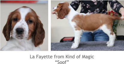 La Fayette from Kind of Magic “Soof”