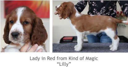 Lady in Red from Kind of Magic “Lilly”