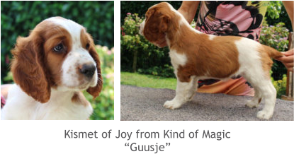 Kismet of Joy from Kind of Magic “Guusje”