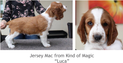 Jersey Mac from Kind of Magic “Luca”