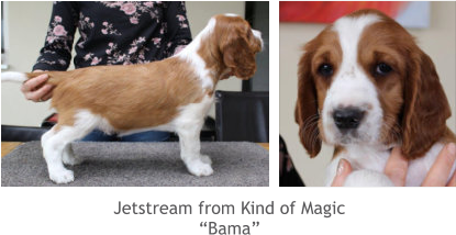 Jetstream from Kind of Magic “Bama”