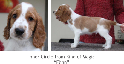 Inner Circle from Kind of Magic “Flinn”