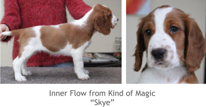 Inner Flow from Kind of Magic “Skye”