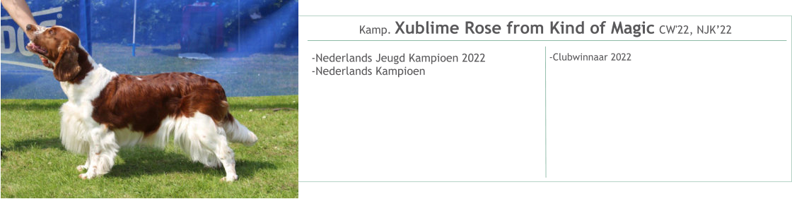 Kamp. Xublime Rose from Kind of Magic CW'22, NJK’22 -Nederlands Jeugd Kampioen 2022-Nederlands Kampioen    -Clubwinnaar 2022