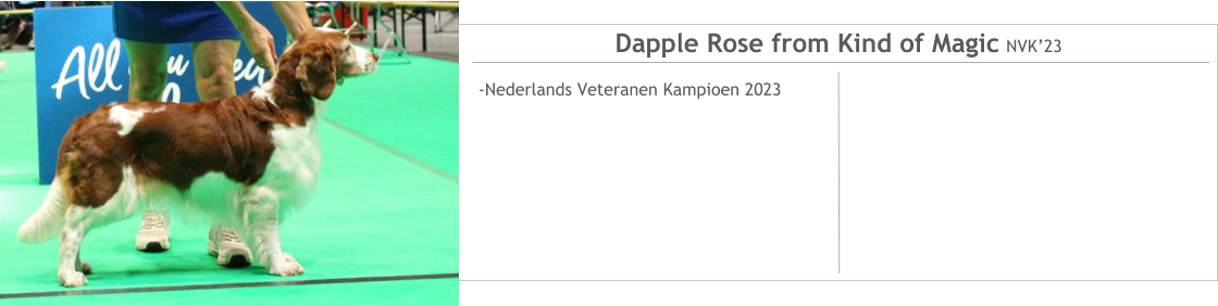 Dapple Rose from Kind of Magic NVK’23 -Nederlands Veteranen Kampioen 2023