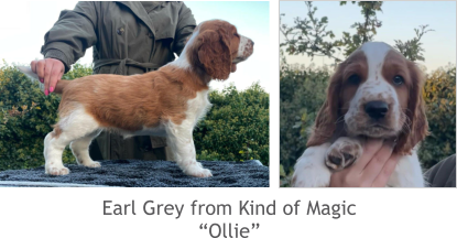 Earl Grey from Kind of Magic “Ollie”