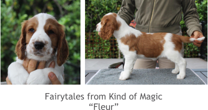 Fairytales from Kind of Magic “Fleur”