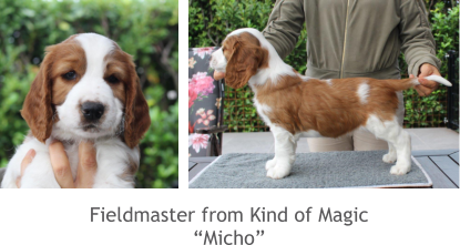 Fieldmaster from Kind of Magic “Micho”