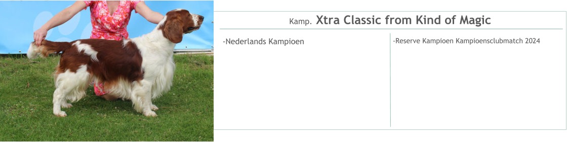 Kamp. Xtra Classic from Kind of Magic -Nederlands Kampioen    -Reserve Kampioen Kampioensclubmatch 2024