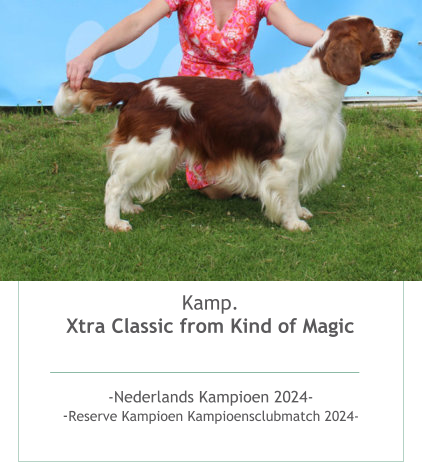 Kamp.Xtra Classic from Kind of Magic   -Nederlands Kampioen 2024--Reserve Kampioen Kampioensclubmatch 2024- 